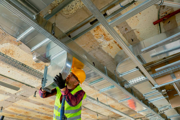 Best HVAC Air Duct Cleaning  in Knoxvle, IL